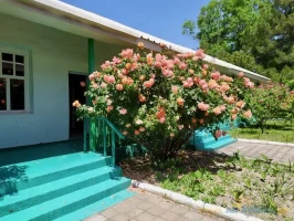 База отдыха «Лаванда»