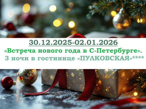 «Встреча нового года в С-Петербурге» — фото-579_1