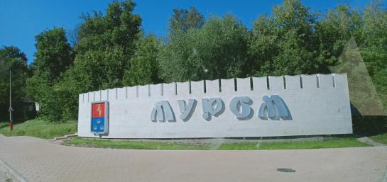 «Прощеное воскресенье в Дивеево» — фото-727_3