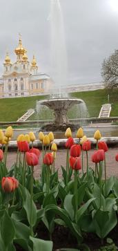 «Магия разводных мостов» — фото-582_6