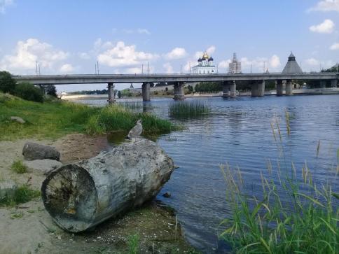 «СЕРЕБРЯНОЕ  КОЛЬЦО» — фото-591_4