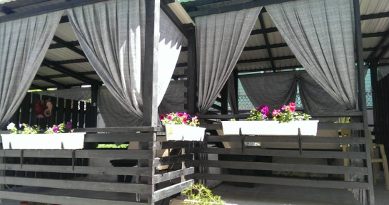 "Век" — фото-558_4