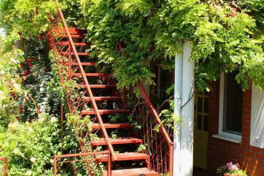 Гостевой дом «Янтарь» — фото-546_2