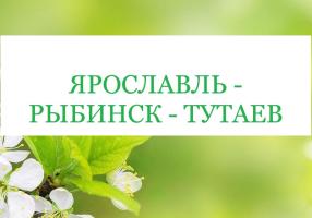 Золотое кольцо — "Губернские зарисовки" — фото