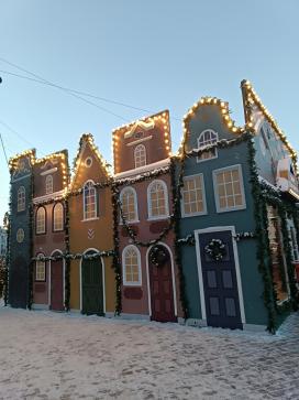 «Блеск новогоднего С-Петербурга» — фото-582_6