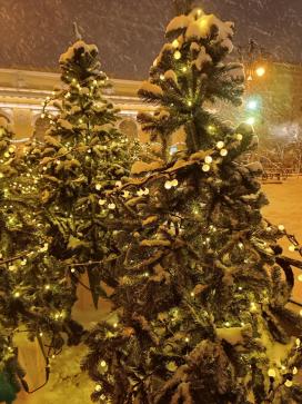 "РОЖДЕСТВО В ВАРЯЖСКИХ СТОЛИЦАХ…" — фото-635_7