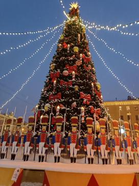 «Блеск новогоднего С-Петербурга» — фото-635_5