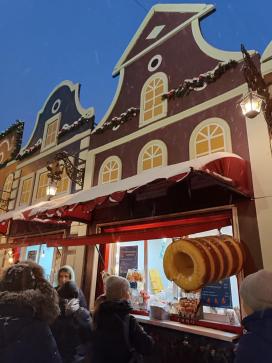 «Рождественская сказка» в С-Петербурге — фото-722_2