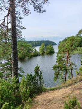 «ОТ СРЕДНЕВЕКОВЬЯ ДО НАШИХ ДНЕЙ…» — фото-740_6