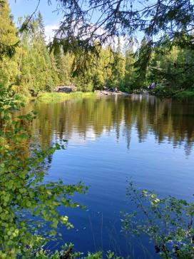 «ПЛЕНИТЕЛЬНАЯ КАРЕЛИЯ» — фото-579_7