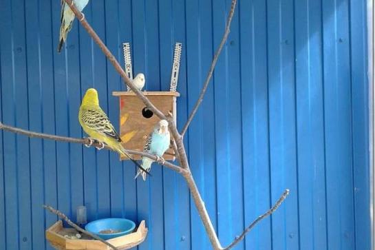 Гостевой дом «Аквамарин» — фото-546_6