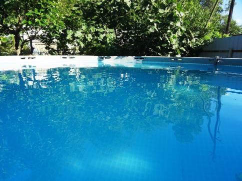 Гостевой дом "Пальма" — фото-557_3