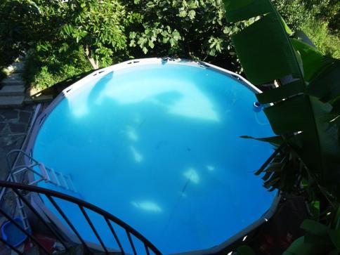 Гостевой дом "Пальма" — фото-557_4