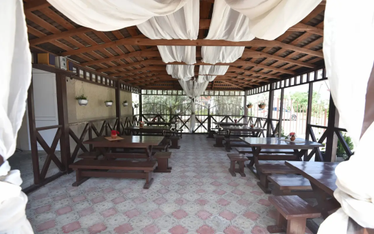 "Орхидея" — фото-683_7