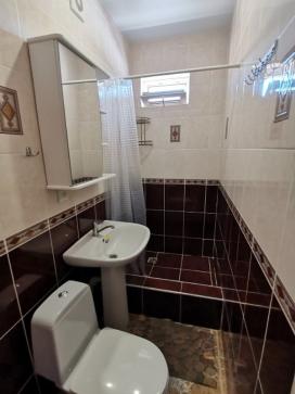 "Авангард" — фото-549_7